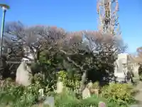 本願寺(東京都)