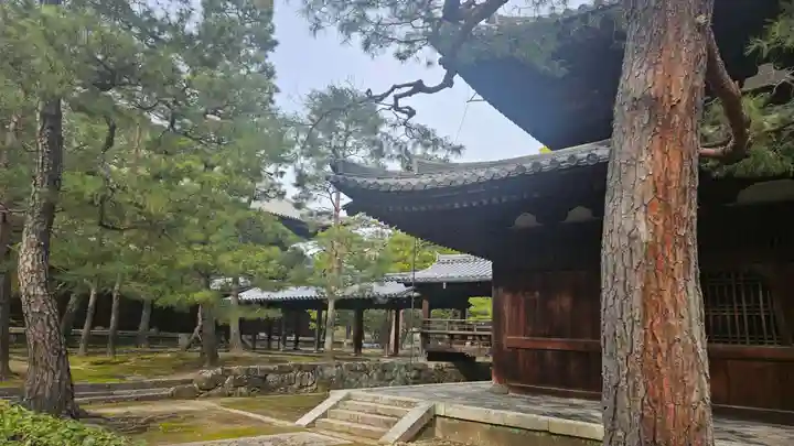 大徳寺(京都府)