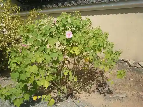 天龍寺(京都府)