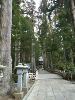 高野山金剛峯寺奥の院の{uncategorized: "未分類", other: "その他", undefined: "問題あり", building: "その他建物", grave: "お墓", sacred_gate: "鳥居", guardian: "狛犬", statue: "像", buddha: "仏像", history: "歴史", nature: "自然", garden: "庭園", animal: "動物", pagoda: "塔", temizu: "手水舎", mountain_gate: "山門・神門", sanctuary: "本殿・本堂", subordinate: "末社・摂社", art: "芸術", scenery: "景色", jizo: "地蔵", ema: "絵馬", goshuin: "御朱印", omikuji: "おみくじ", items: "授与品その他", amulet: "お守り", goshuincho: "御朱印帳", eats: "食事", festival: "お祭り", votive_dance: "神楽", shichigosan: "七五三参", wedding: "結婚式", experience: "体験その他", initially: "初詣", around: "周辺", anti_infection: "感染症対策"}