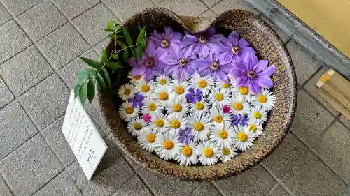 美瑛神社の手水