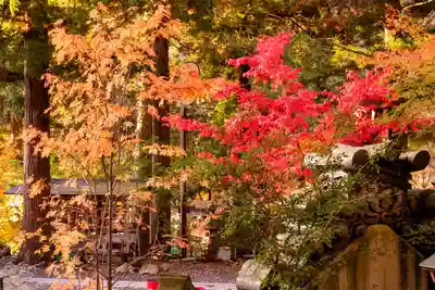 山家神社(長野県)