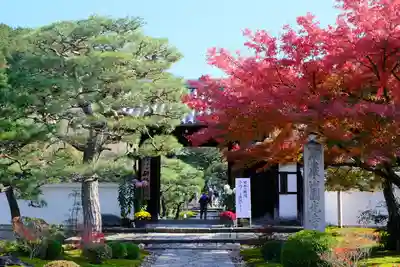 圓光寺の山門・神門