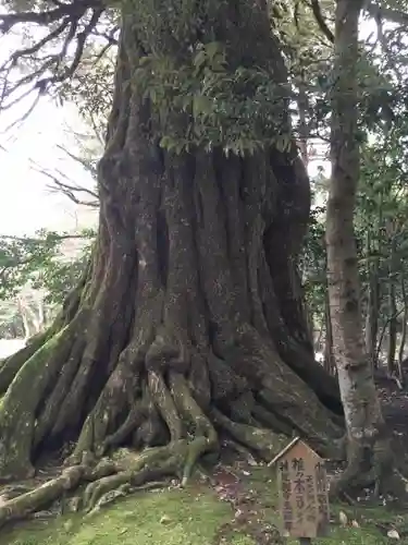 若狭神宮寺の自然