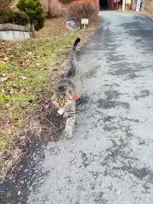 正一位 若草稲荷神社の{uncategorized: "未分類", other: "その他", undefined: "問題あり", building: "その他建物", grave: "お墓", sacred_gate: "鳥居", guardian: "狛犬", statue: "像", buddha: "仏像", history: "歴史", nature: "自然", garden: "庭園", animal: "動物", pagoda: "塔", temizu: "手水舎", mountain_gate: "山門・神門", sanctuary: "本殿・本堂", subordinate: "末社・摂社", art: "芸術", scenery: "景色", jizo: "地蔵", ema: "絵馬", goshuin: "御朱印", omikuji: "おみくじ", items: "授与品その他", amulet: "お守り", goshuincho: "御朱印帳", eats: "食事", festival: "お祭り", votive_dance: "神楽", shichigosan: "七五三参", wedding: "結婚式", experience: "体験その他", initially: "初詣", around: "周辺", anti_infection: "感染症対策"}