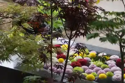 東海市熊野神社の手水舎