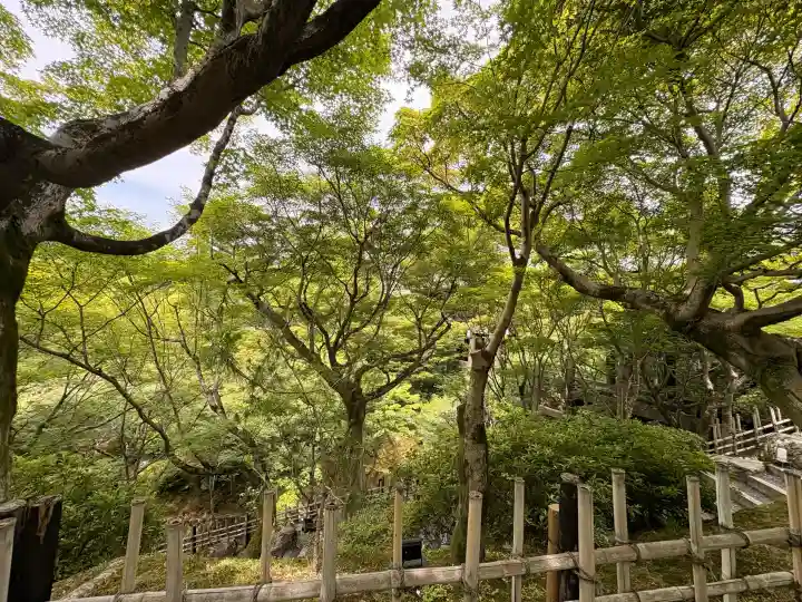東福禅寺(東福寺)(京都府)