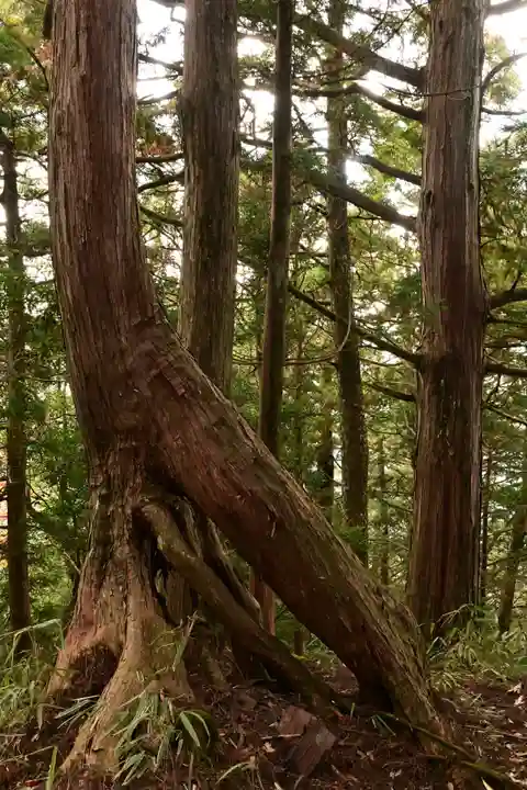 高峯神社(高知県)
