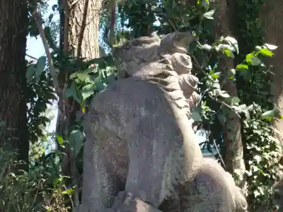 代々木八幡宮の狛犬