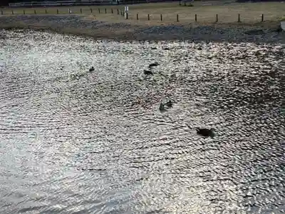永福寺跡（永福寺址）(神奈川県)