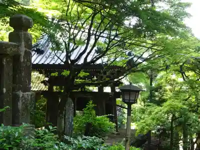 最乗寺（道了尊）のその他建物