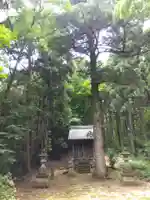 蔵王神社(福井県)