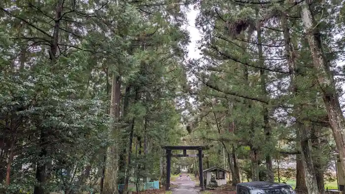 小村神社の鳥居