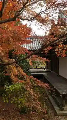 法金剛院(京都府)