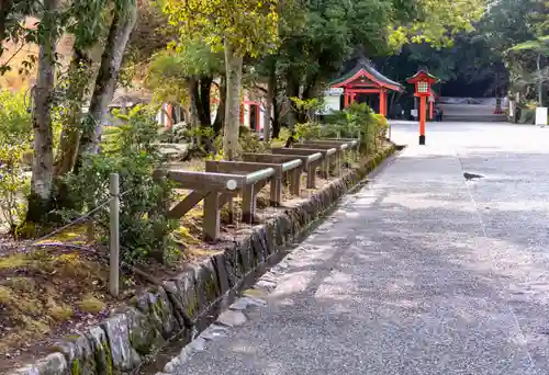 宇佐神宮(大分県)