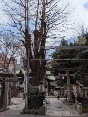 小野照崎神社(東京都)