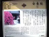 安養院 (田代寺)の歴史