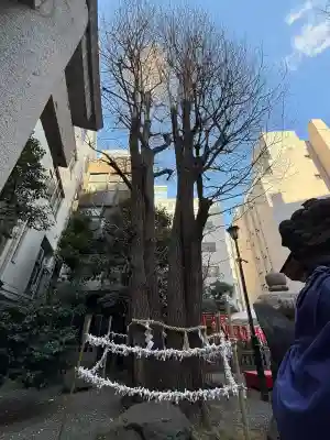 日本橋日枝神社の{uncategorized: "未分類", other: "その他", undefined: "問題あり", building: "その他建物", grave: "お墓", sacred_gate: "鳥居", guardian: "狛犬", statue: "像", buddha: "仏像", history: "歴史", nature: "自然", garden: "庭園", animal: "動物", pagoda: "塔", temizu: "手水舎", mountain_gate: "山門・神門", sanctuary: "本殿・本堂", subordinate: "末社・摂社", art: "芸術", scenery: "景色", jizo: "地蔵", ema: "絵馬", goshuin: "御朱印", omikuji: "おみくじ", items: "授与品その他", amulet: "お守り", goshuincho: "御朱印帳", eats: "食事", festival: "お祭り", votive_dance: "神楽", shichigosan: "七五三参", wedding: "結婚式", experience: "体験その他", initially: "初詣", around: "周辺", anti_infection: "感染症対策"}
