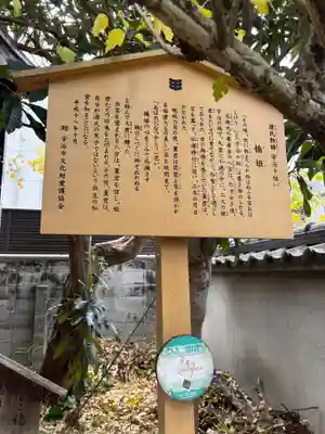 平等院の周辺