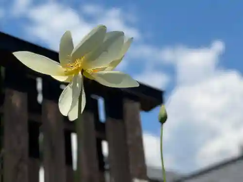 恵林寺(山梨県)