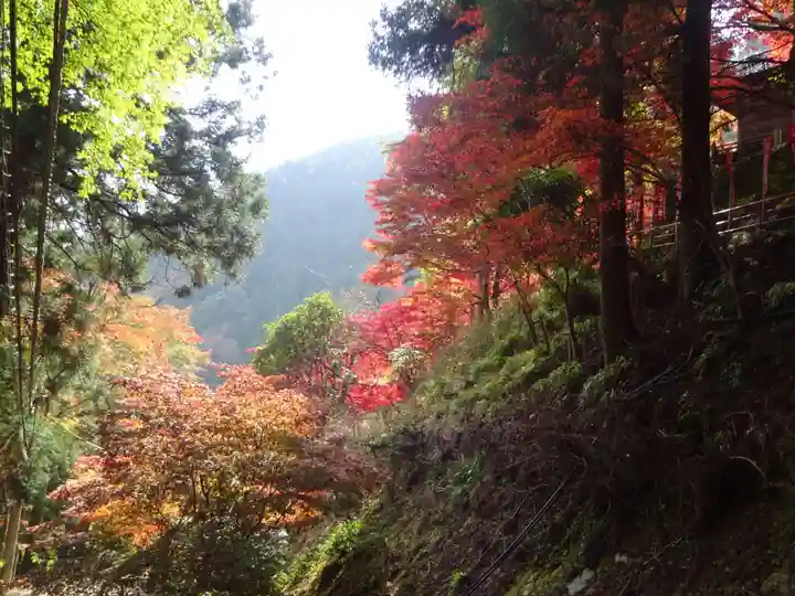 大山寺の景色