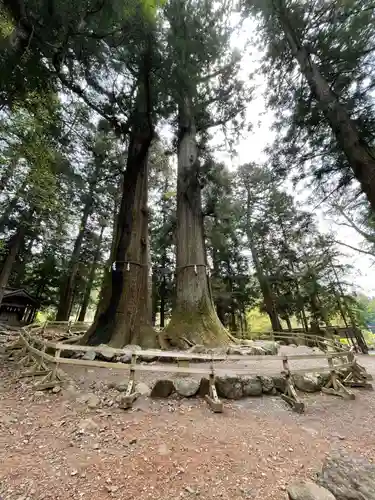 河口浅間神社の庭園