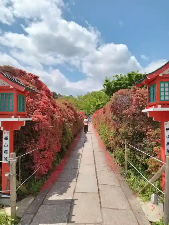 長岡天満宮(京都府)
