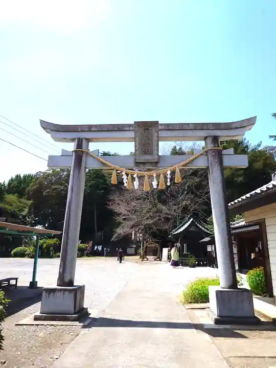 前玉神社(埼玉県)