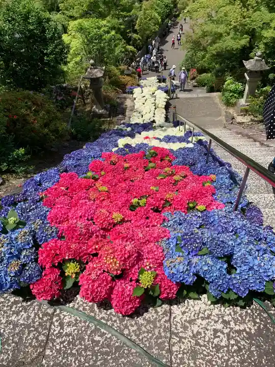 三室戸寺の自然