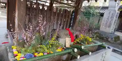 北野天満宮の手水舎