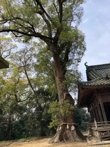 伊豫神社(愛媛県)