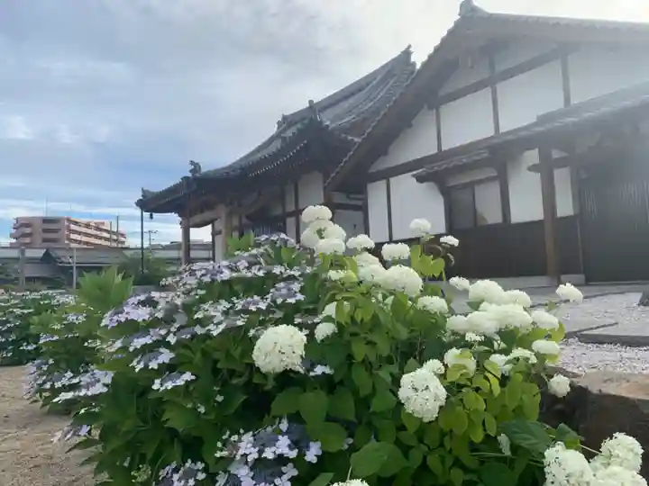 王子山薬師寺の本殿・本堂