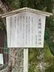 天徳院(石川県)