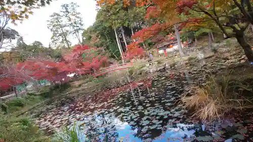 大原野神社の景色