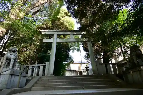 渋谷氷川神社の鳥居