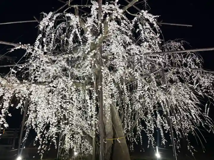 八幡社の{uncategorized: "未分類", other: "その他", undefined: "問題あり", building: "その他建物", grave: "お墓", sacred_gate: "鳥居", guardian: "狛犬", statue: "像", buddha: "仏像", history: "歴史", nature: "自然", garden: "庭園", animal: "動物", pagoda: "塔", temizu: "手水舎", mountain_gate: "山門・神門", sanctuary: "本殿・本堂", subordinate: "末社・摂社", art: "芸術", scenery: "景色", jizo: "地蔵", ema: "絵馬", goshuin: "御朱印", omikuji: "おみくじ", items: "授与品その他", amulet: "お守り", goshuincho: "御朱印帳", eats: "食事", festival: "お祭り", votive_dance: "神楽", shichigosan: "七五三参", wedding: "結婚式", experience: "体験その他", initially: "初詣", around: "周辺", anti_infection: "感染症対策"}