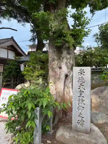 白峯神宮(京都府)