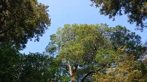 東蕗田天満社の景色