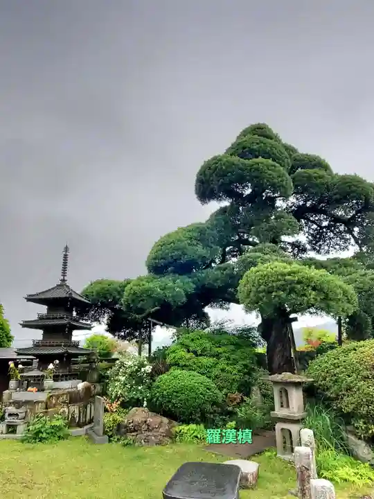 宗建寺(東京都)