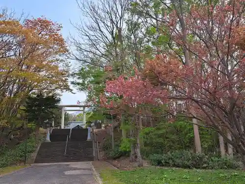 岩内神社の建物その他