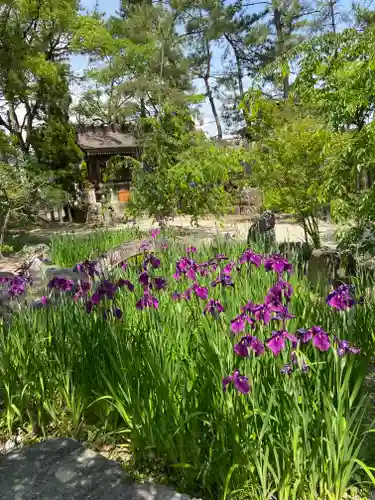 市原稲荷神社の庭園