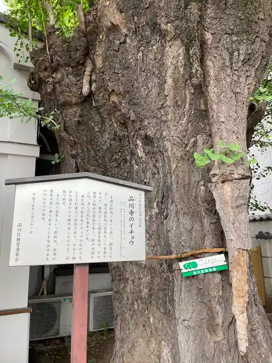 品川寺(東京都)