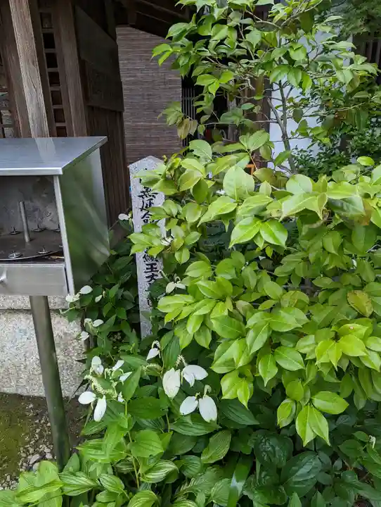 法輪寺(京都府)