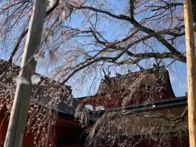 富士山本宮浅間大社のその他建物