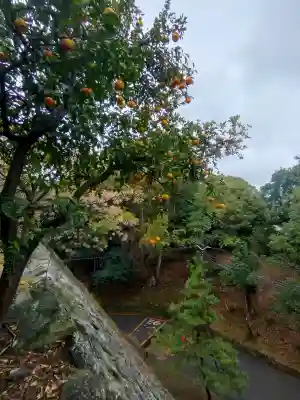 和歌山縣護國神社の{uncategorized: "未分類", other: "その他", undefined: "問題あり", building: "その他建物", grave: "お墓", sacred_gate: "鳥居", guardian: "狛犬", statue: "像", buddha: "仏像", history: "歴史", nature: "自然", garden: "庭園", animal: "動物", pagoda: "塔", temizu: "手水舎", mountain_gate: "山門・神門", sanctuary: "本殿・本堂", subordinate: "末社・摂社", art: "芸術", scenery: "景色", jizo: "地蔵", ema: "絵馬", goshuin: "御朱印", omikuji: "おみくじ", items: "授与品その他", amulet: "お守り", goshuincho: "御朱印帳", eats: "食事", festival: "お祭り", votive_dance: "神楽", shichigosan: "七五三参", wedding: "結婚式", experience: "体験その他", initially: "初詣", around: "周辺", anti_infection: "感染症対策"}