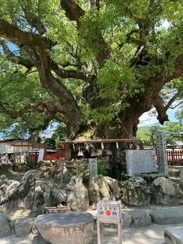 宇美八幡宮(福岡県)