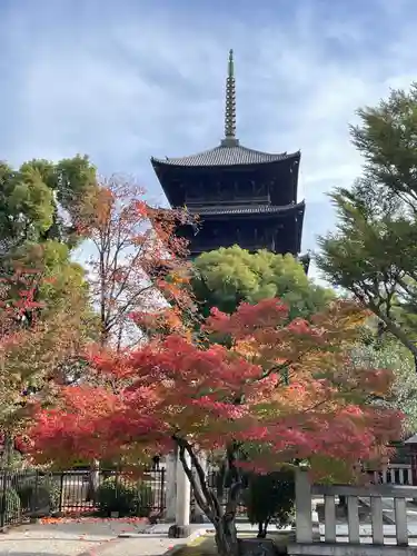 東寺（教王護国寺）(京都府)
