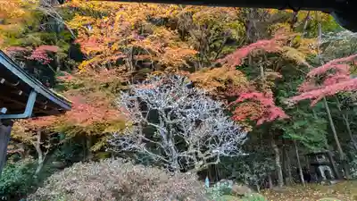 寂光院(京都府)