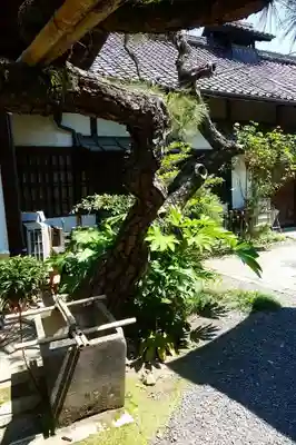 下御霊神社の手水舎