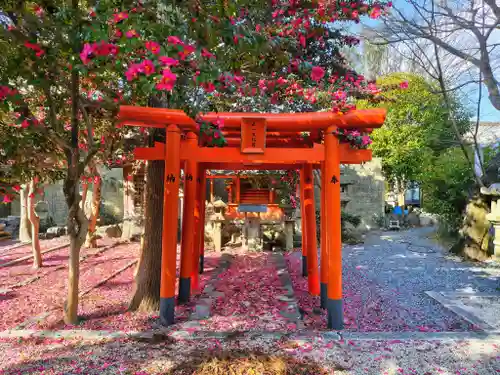 天武天皇社の鳥居